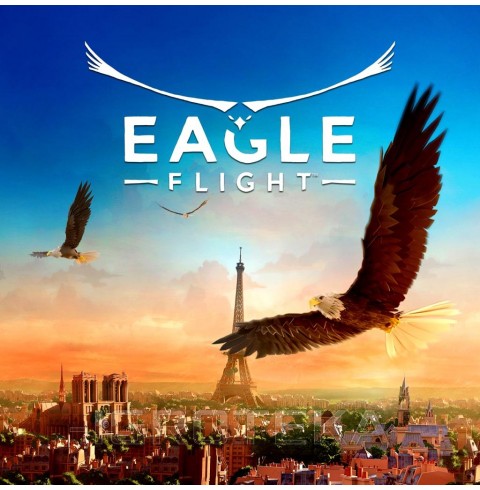 Vr Eagle Flight