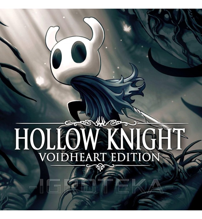 Hollow Knight