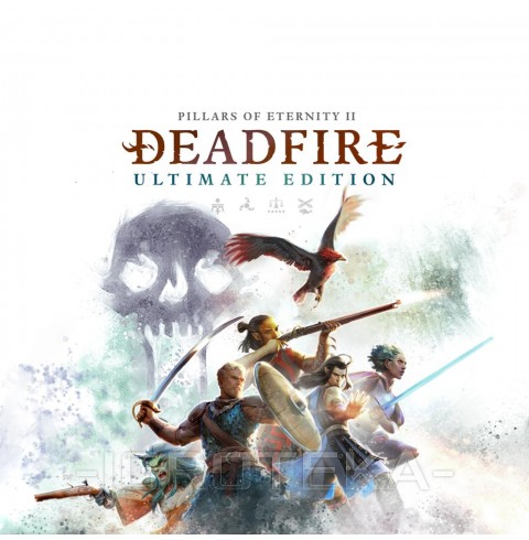 Pillars Of Eternity Ii: Deadfire